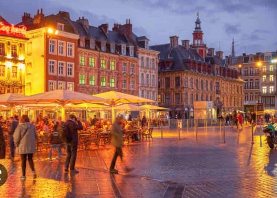 Appartement F3 & Solferino Lille Eksteriør billede